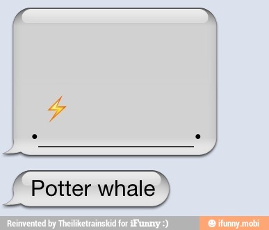 I
TEE
Potter whale