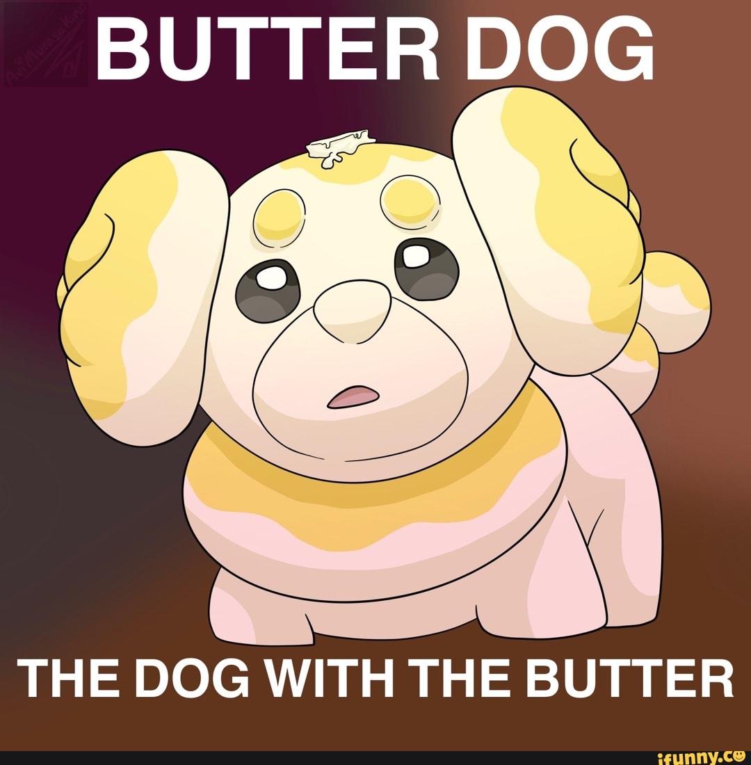 BUTTER DOG THE DOG WITH THE BUTTER iFunny