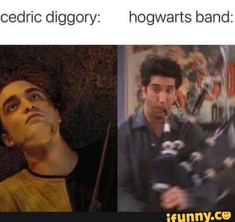 Diggory memes. Best Collection of funny Diggory pictures on iFunny