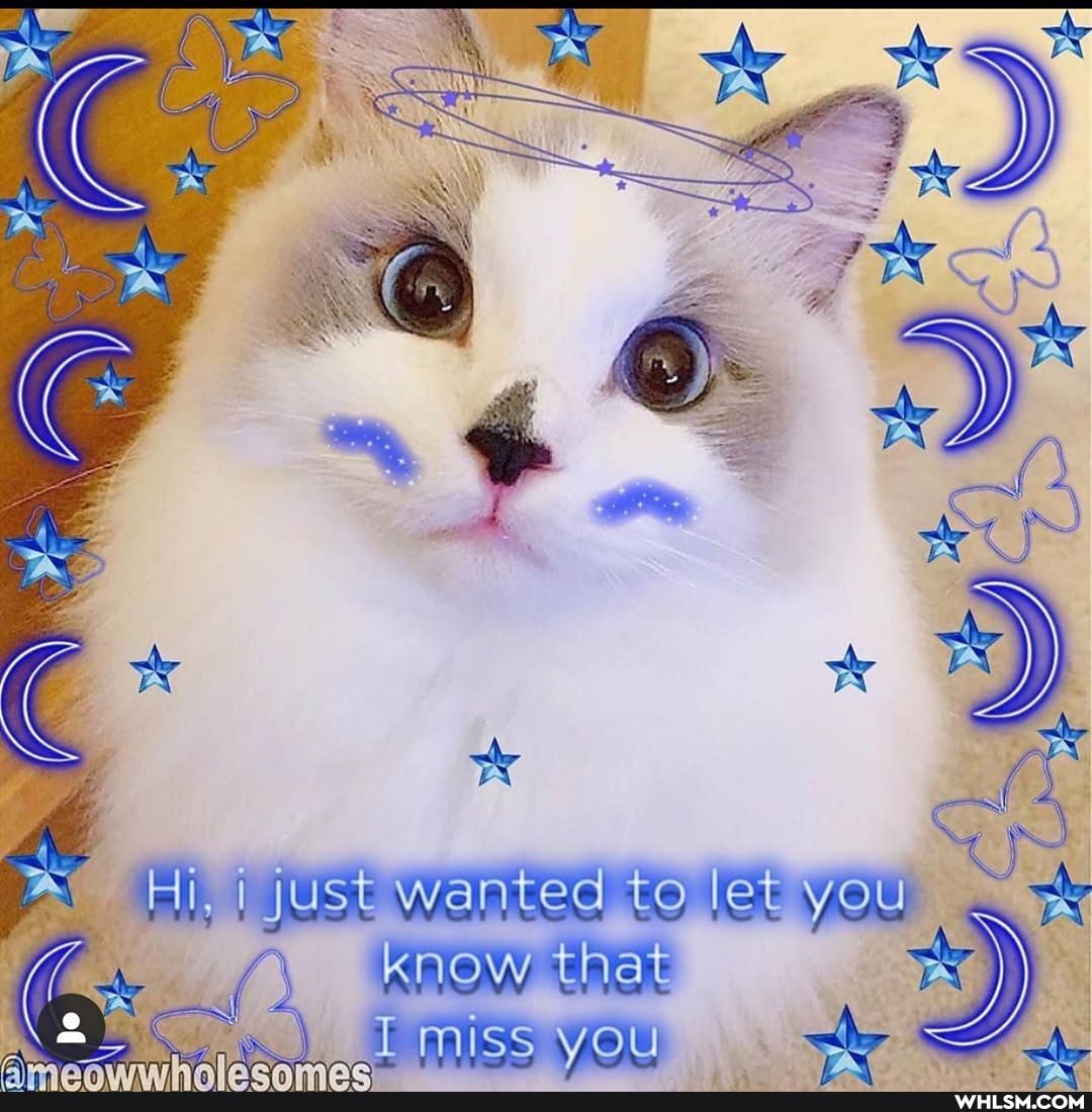 Hi, i just wanted to let you
know thet miss you