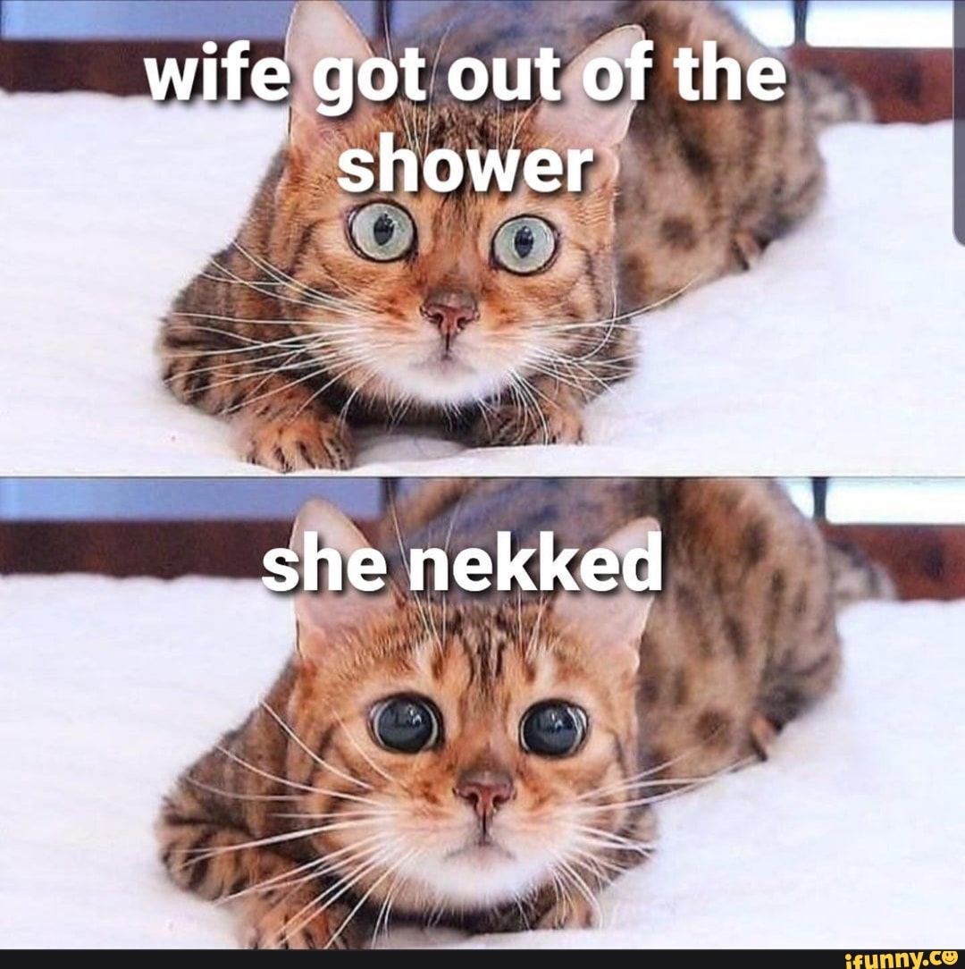 wife out of the shower