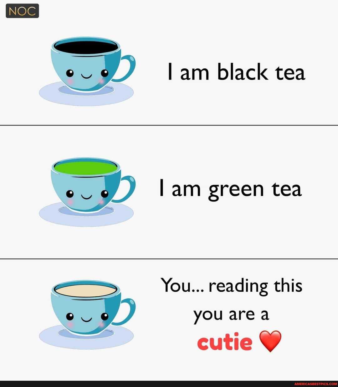 NOC
ov I am black tea
am green tea
You... reading this
you area
cutie