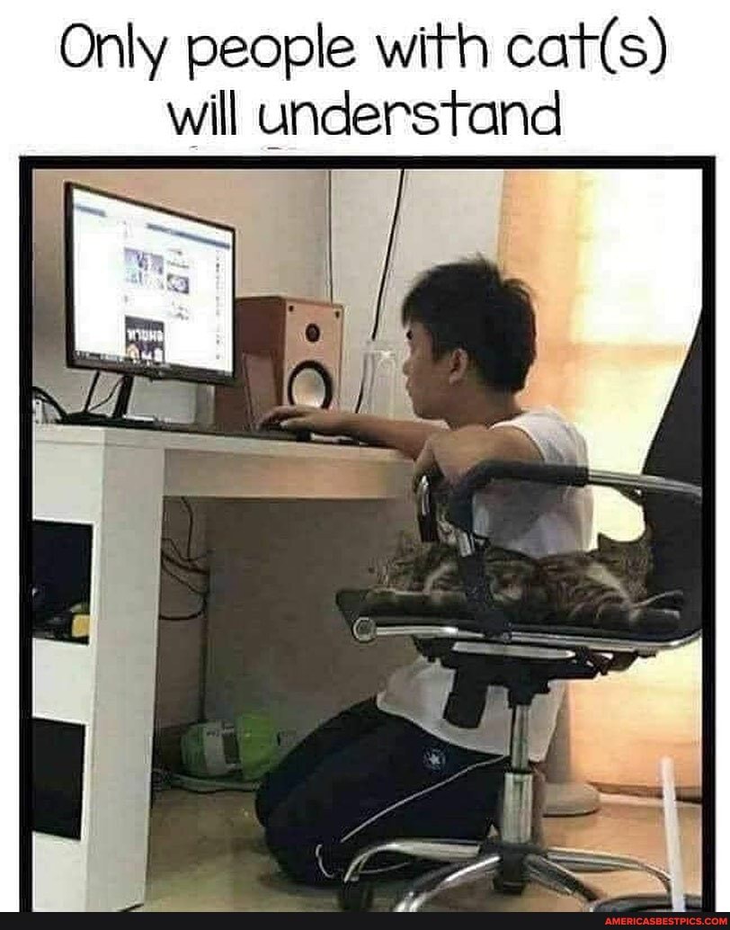 Only people with will understand
SS,