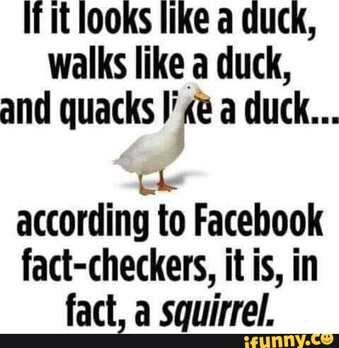 If It OOKS HIKe a UCK, walks like a duck, and quacks a duck ...