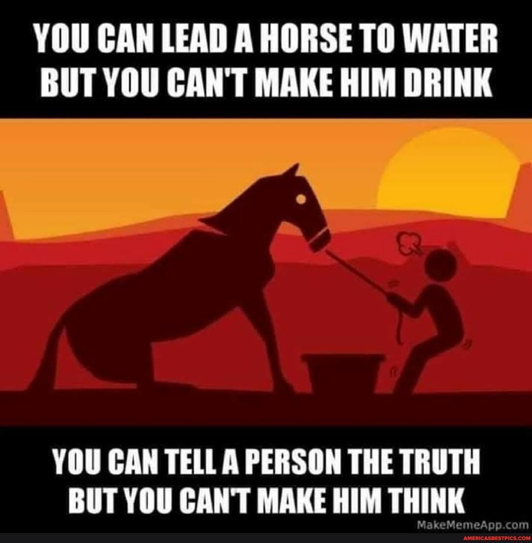 YOU CAN LEAD A HORSE TO WATER BUT YOU CAN'T MAKE HIM DRINK YOU CAN TELL