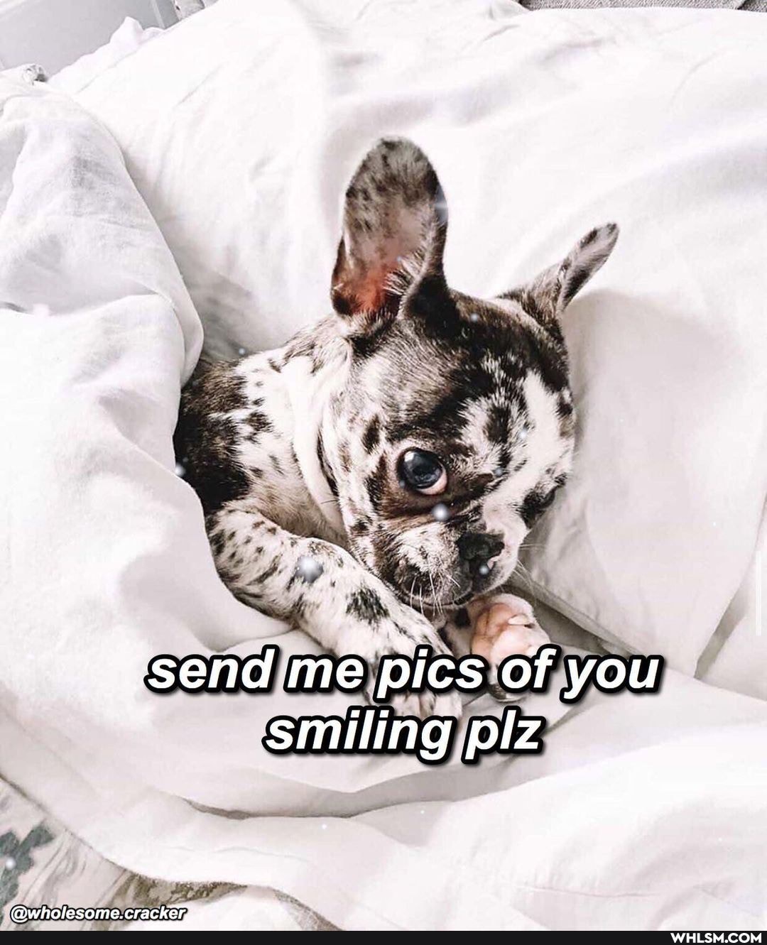 send me pics of you
smiling plz