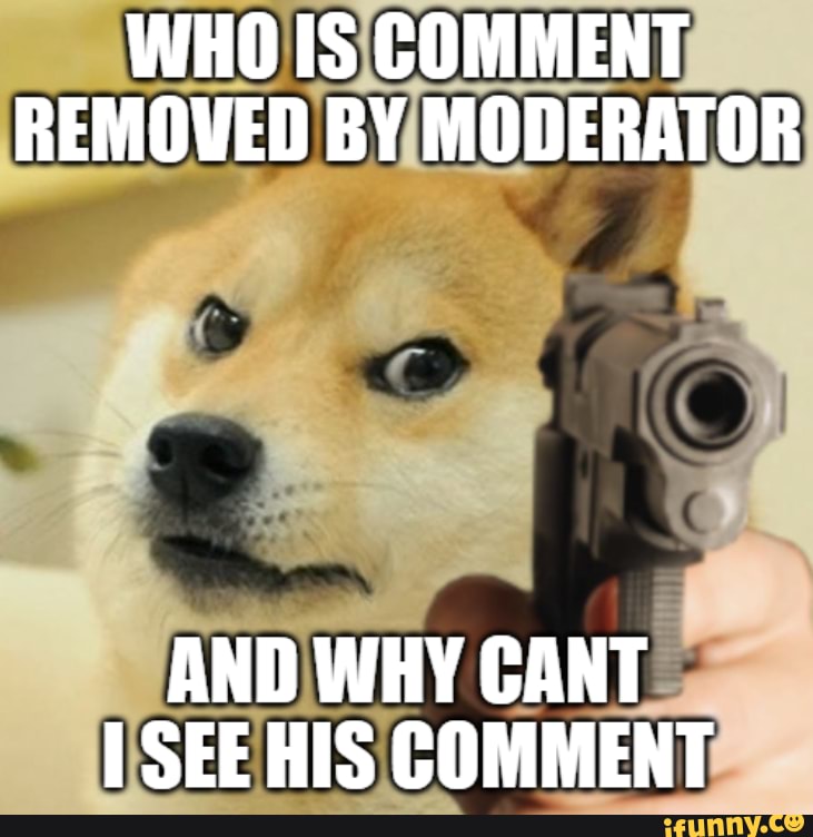 WHO IS COMMENT REMOVED BY MODERATOR AND WHY CANT SEE HIS COMMENT - iFunny