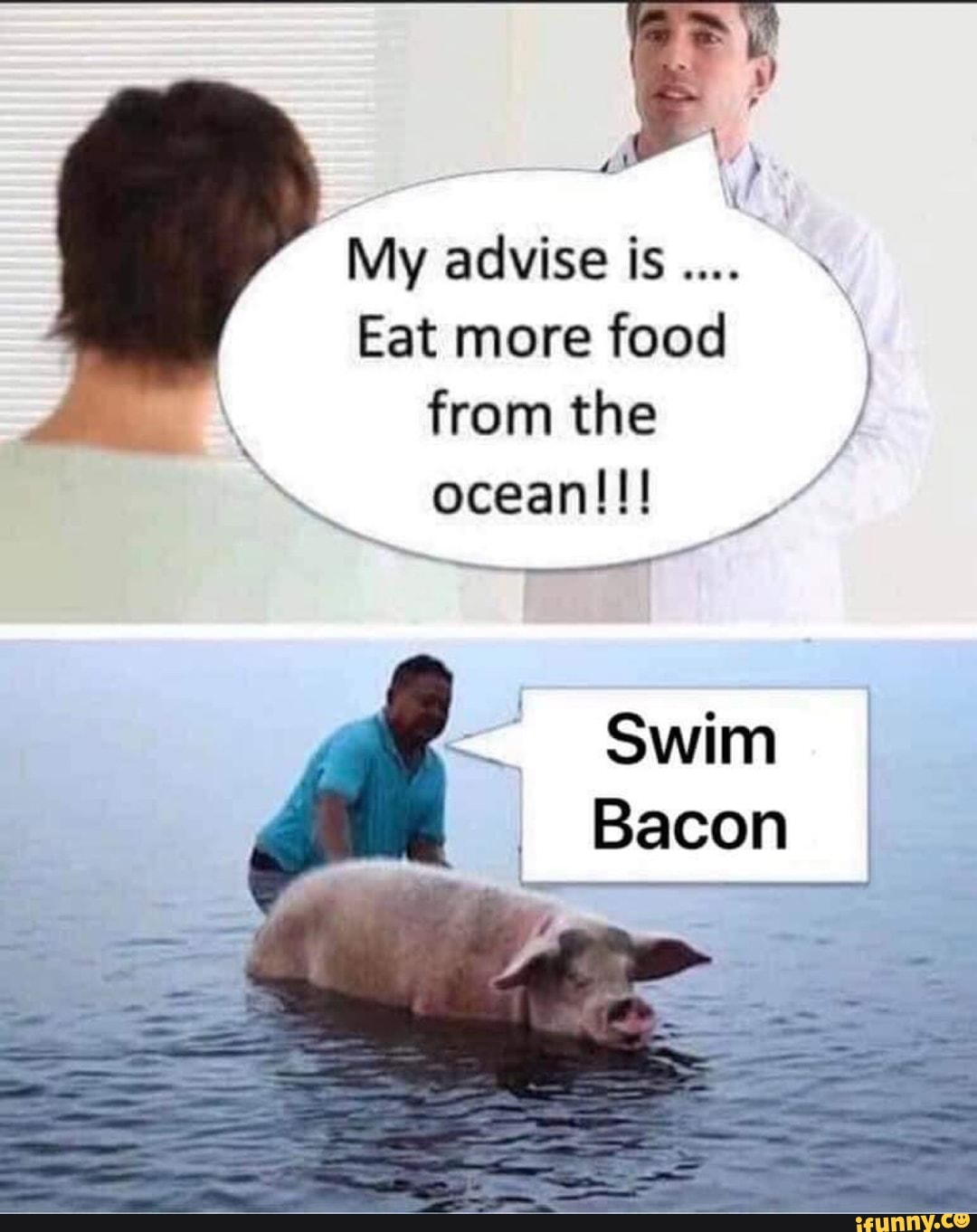 Прикол свинья на море