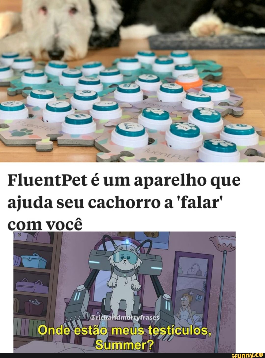 FluentPet é um aparelho que ajuda seu cachorro a 'falar'
com você
dm
tyfrases
Onde estão meus testículos,
Summer?