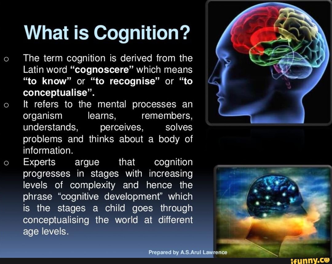 cognitive processes refer to all characteristics