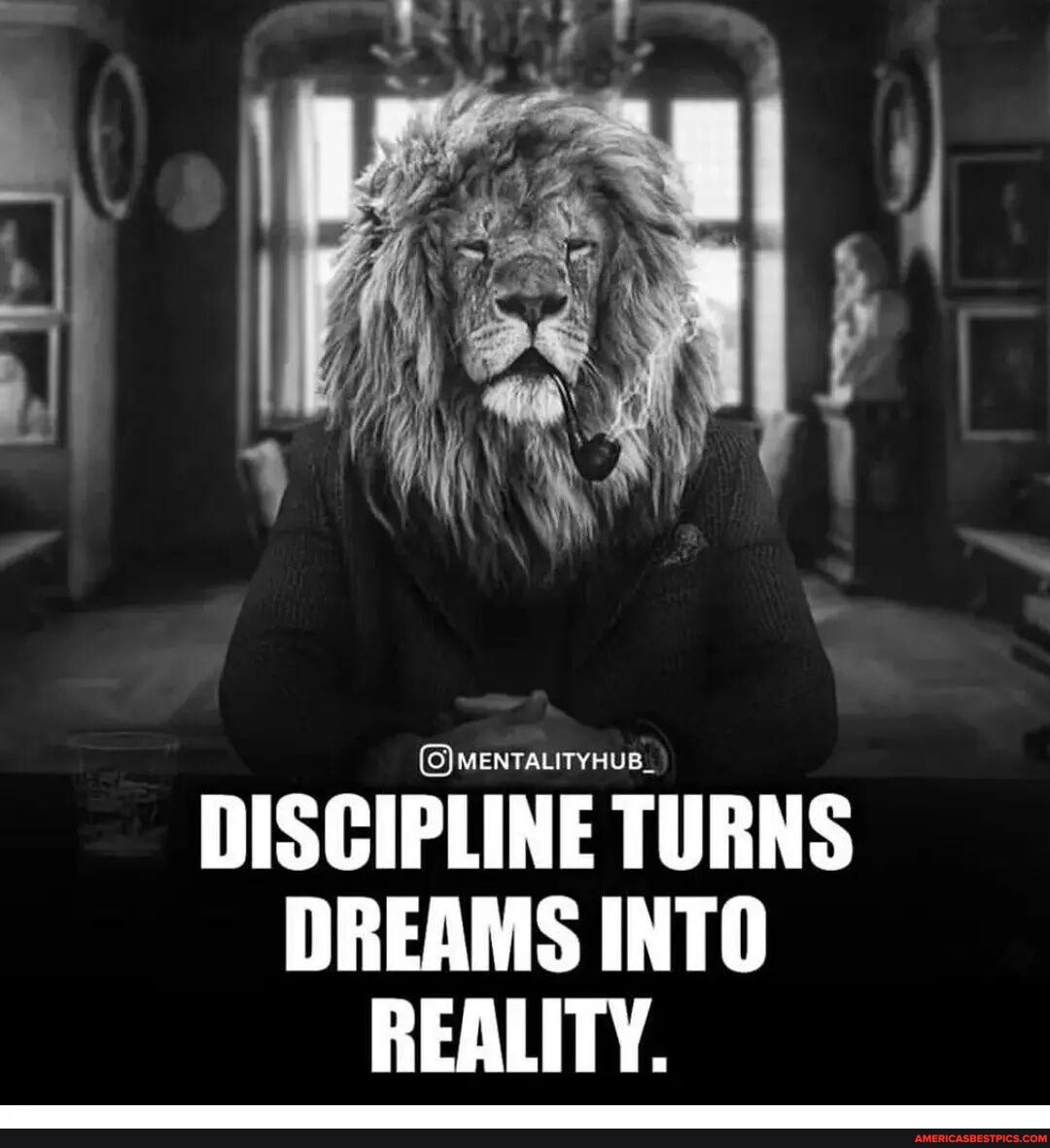 Discipline memes. Best Collection of funny Discipline pictures on America's  best pics and videos