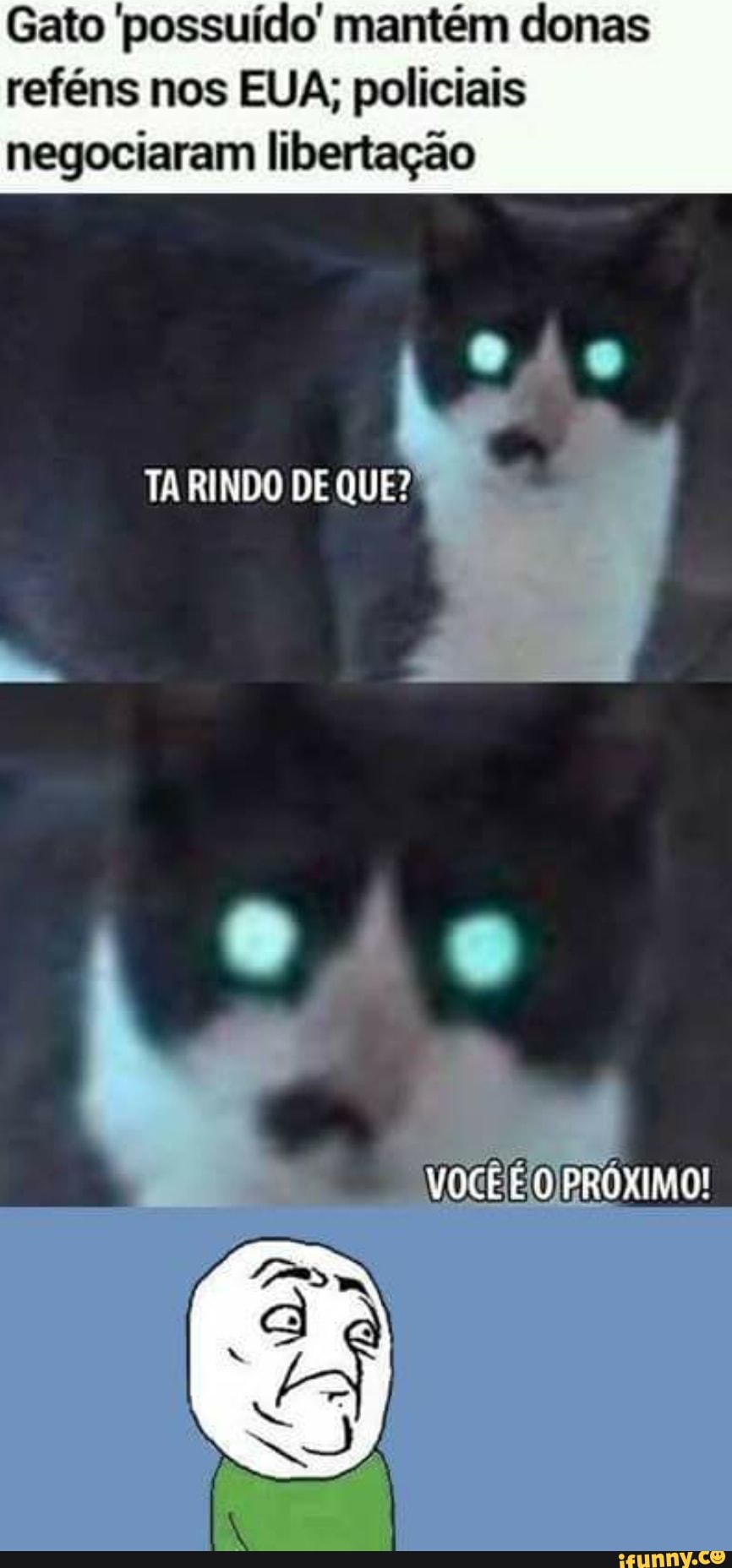 Gato possuído' mantém donas
reféns nos EUA; policiais
negociaram libertação