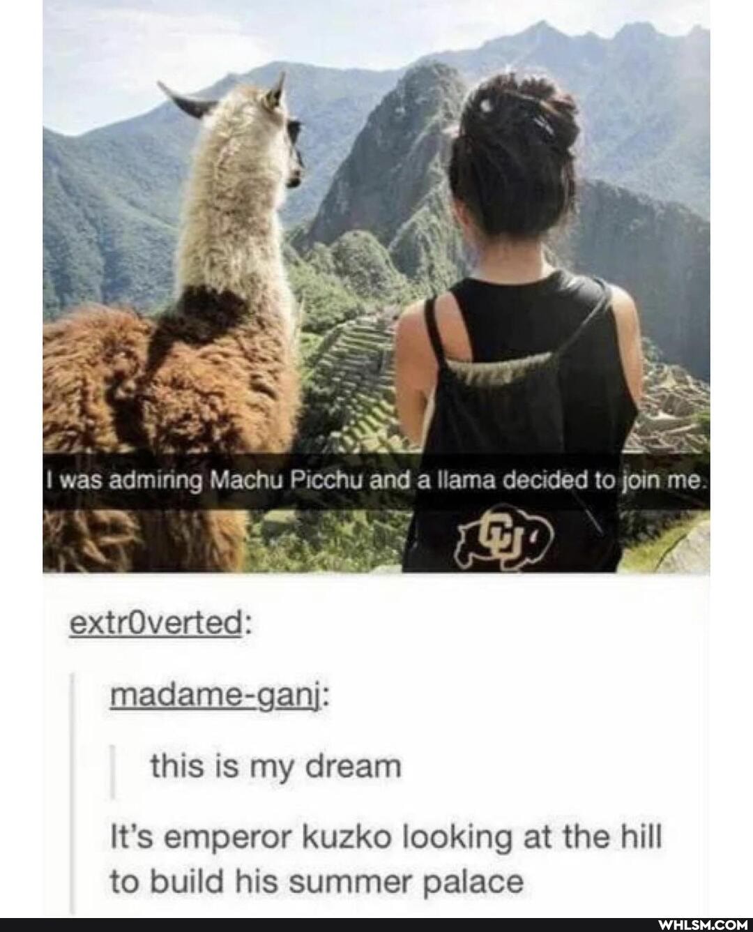extrOverted:
was admiang Machu Picchu and llama decided to join me.
madame-ganj: this is my dream
it's emperor kuzko looking at the hill to build his summer palace