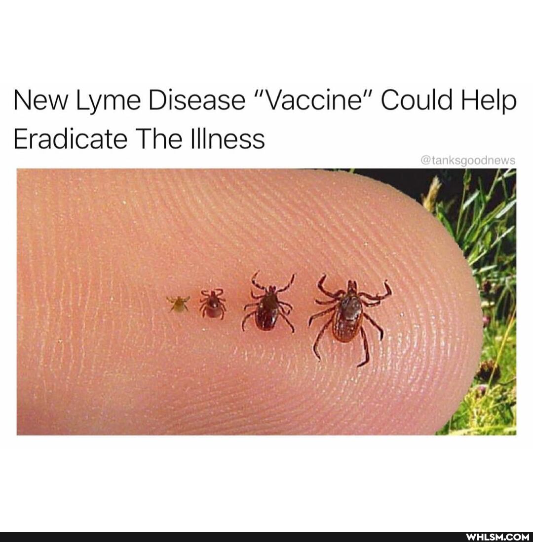 New Lyme Disease "Vaccine" Could Help
Eradicate The Illness
@tanksgoodnews