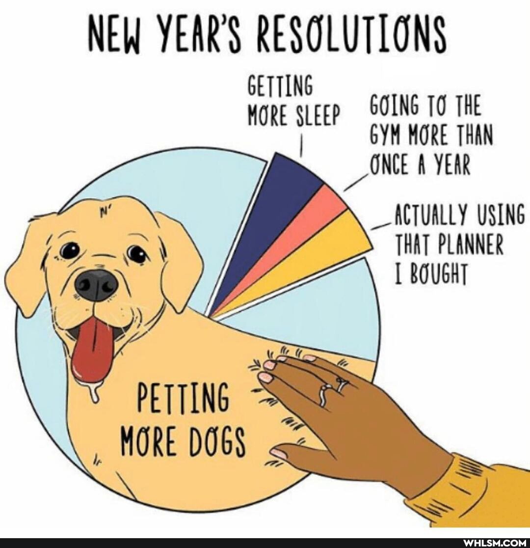 NEW YEARS RESOLUTIONS
GETTING
SLEEP GOING TO THE I GYM MORE THAN
ONCE A YEAR
_ ACTUALLY USING THAT PLANNER BOUGHT
SS
PETTING HORE DOGS
