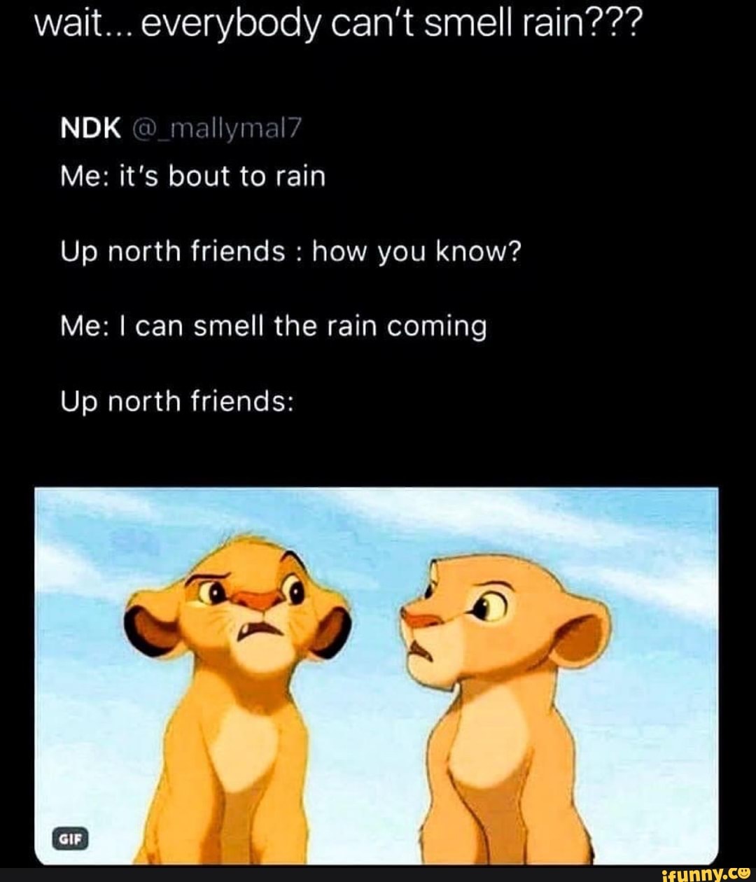 wait... everybody can't smell rain???
mallymal
Me: it's bout to rain
Up north friends how you know?
Me: I can smell the rain coming