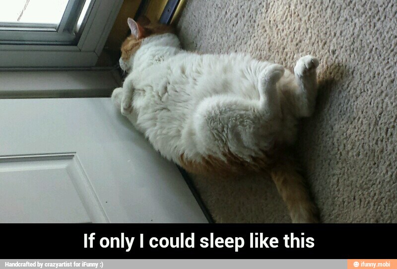 If only I could sleep like this - If only I could sleep like this
