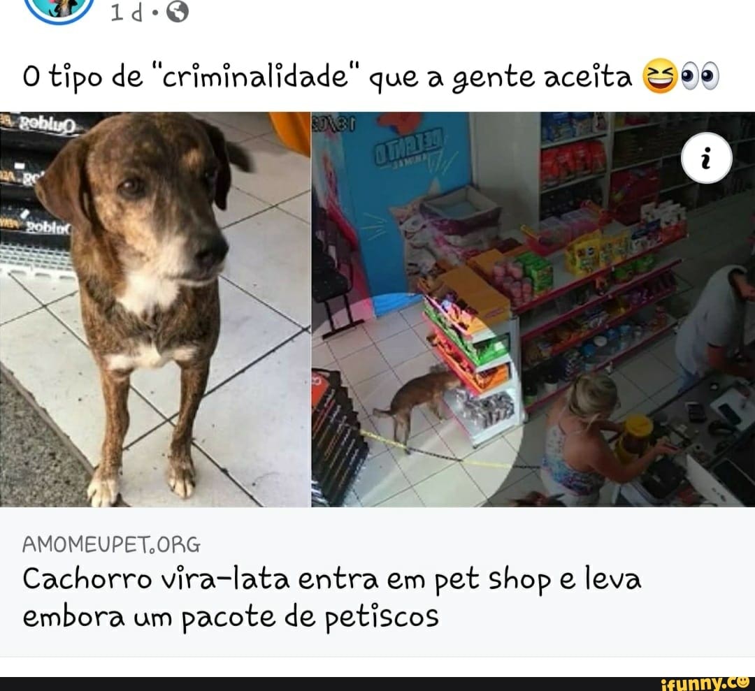 NE
O tipo de "criminalidade" que a gente aceita 2500
Cachorro vira-lata entra em pet shop e leva embora um pacote de petiscos