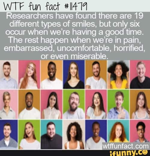 wtf-fun-fact-researchers-have-found-there-are-19-different-types-of