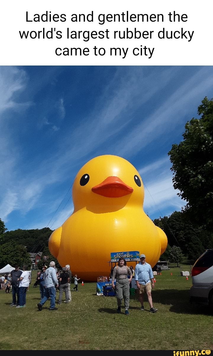 Ladies and gentlemen the world's largest rubber ducky came to my city ...