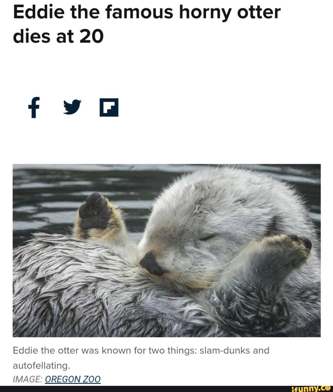 Eddie the famous horny otter dies at 20 Eddie the otter was known for ...