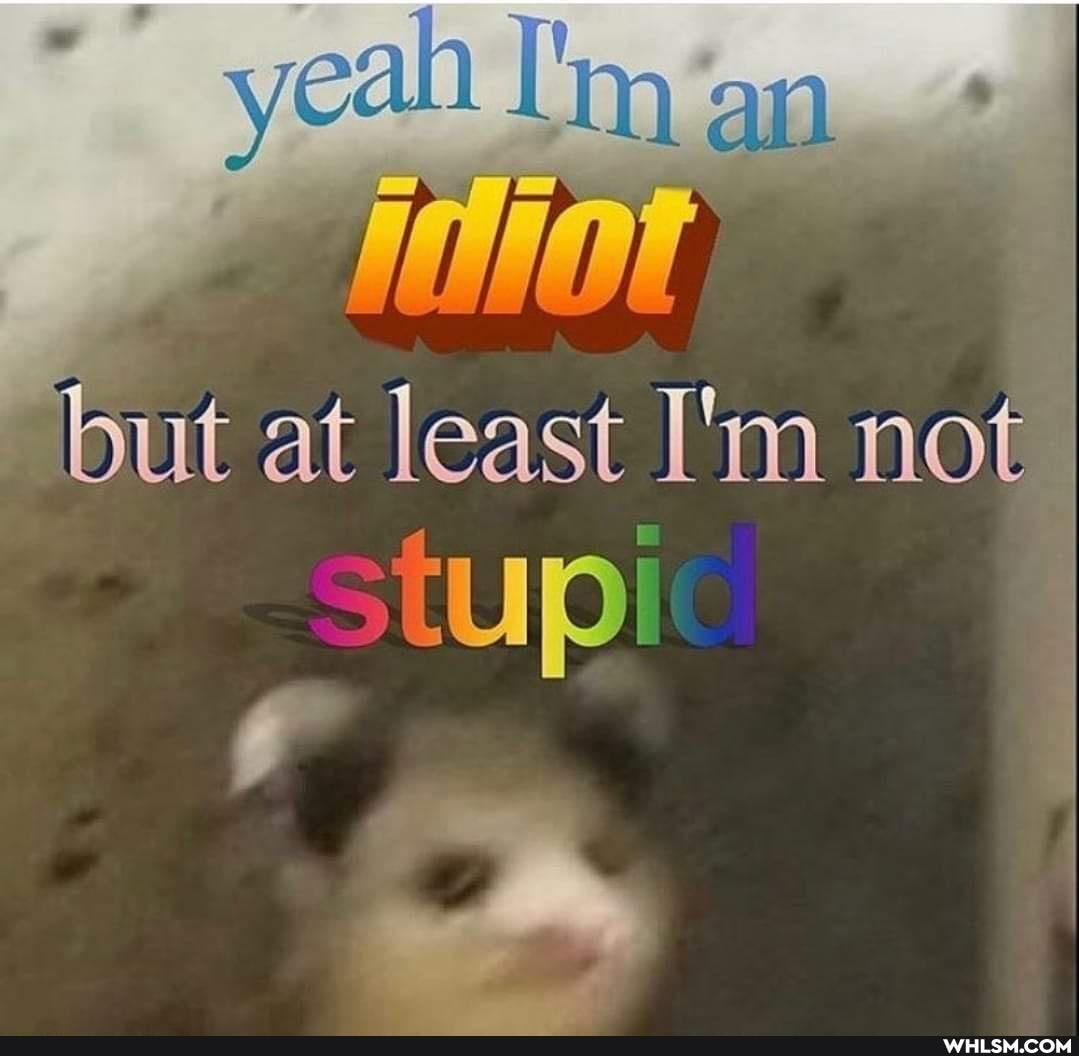but at least I'm not
stupic