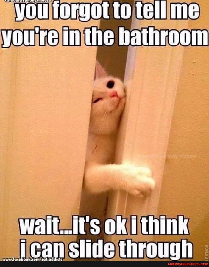 Vou iorgot to tell me you're in the bathroom
wait...it's oK think eon clea thranah