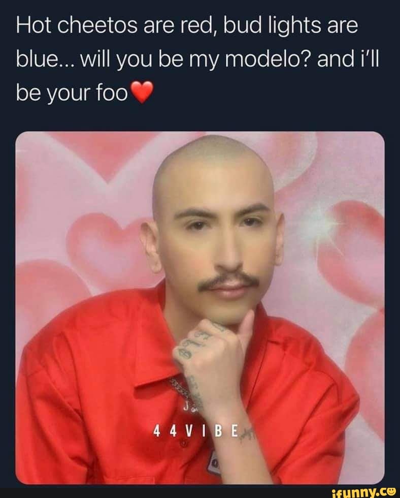Hot cheetos are red, bud lights are blue... will you be my modelo? and