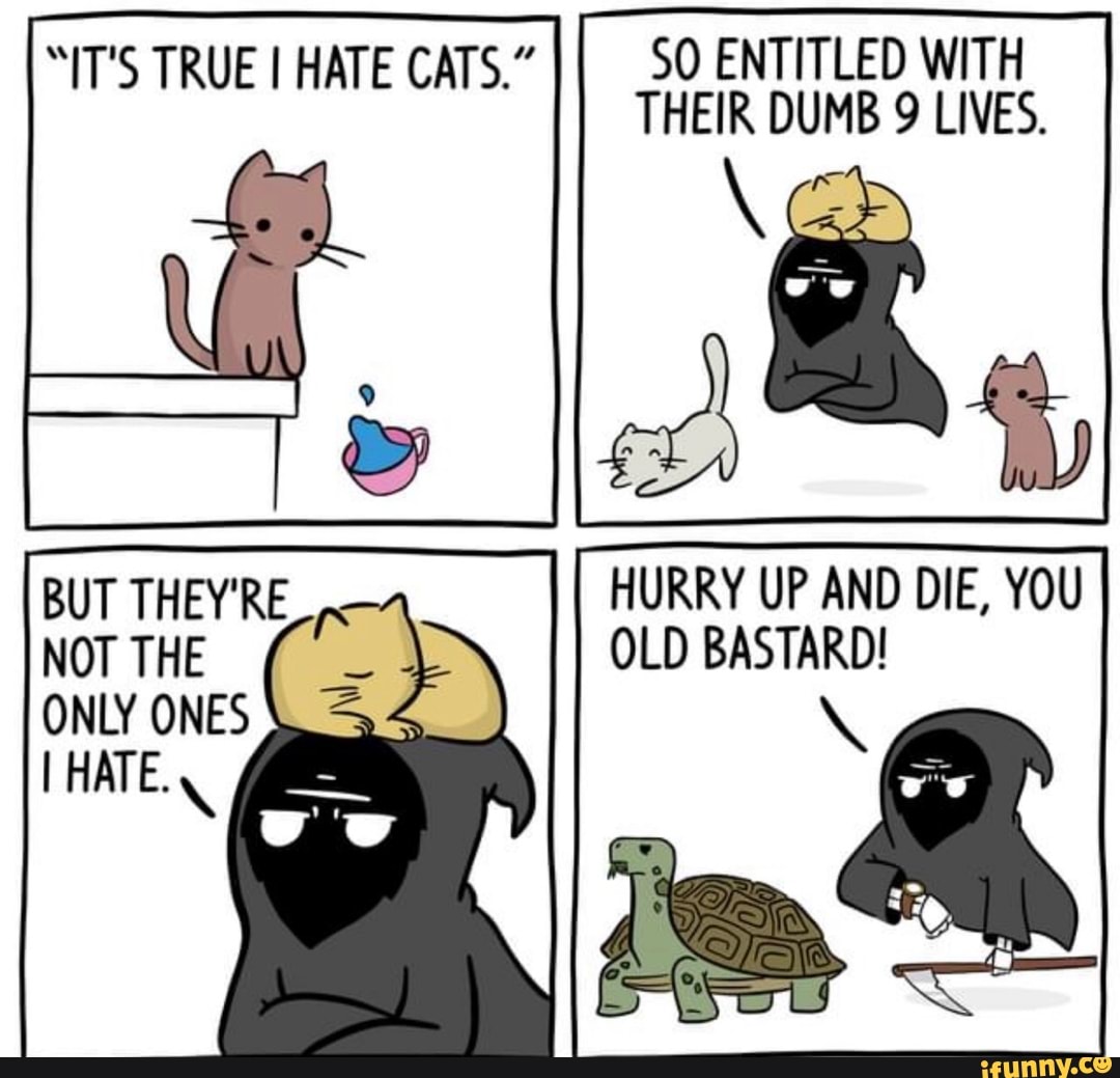 SO ENTITLED WITH
THEIR DUMB 9 LIVES.
HURRY UP AND DIE, YOU
OLD BASTARD!
