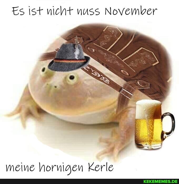 Es ist nicht nuss November
meine Norniaen Kerle