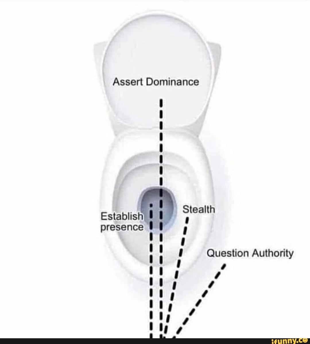Assert Dominance Establish Stealth presence Question Authority ap a> ap