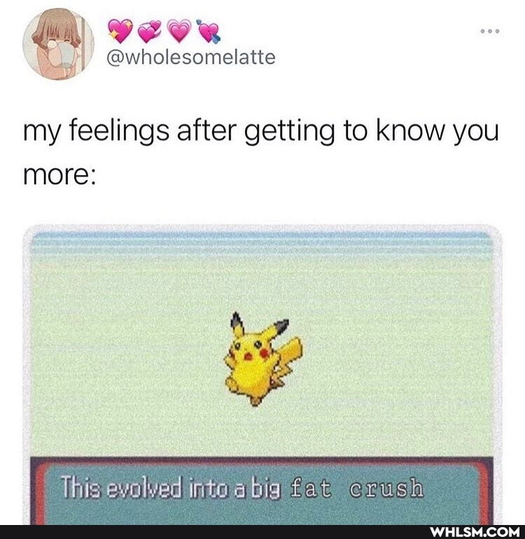 my feelings after getting to know you more:
This voWed into big fat Crush