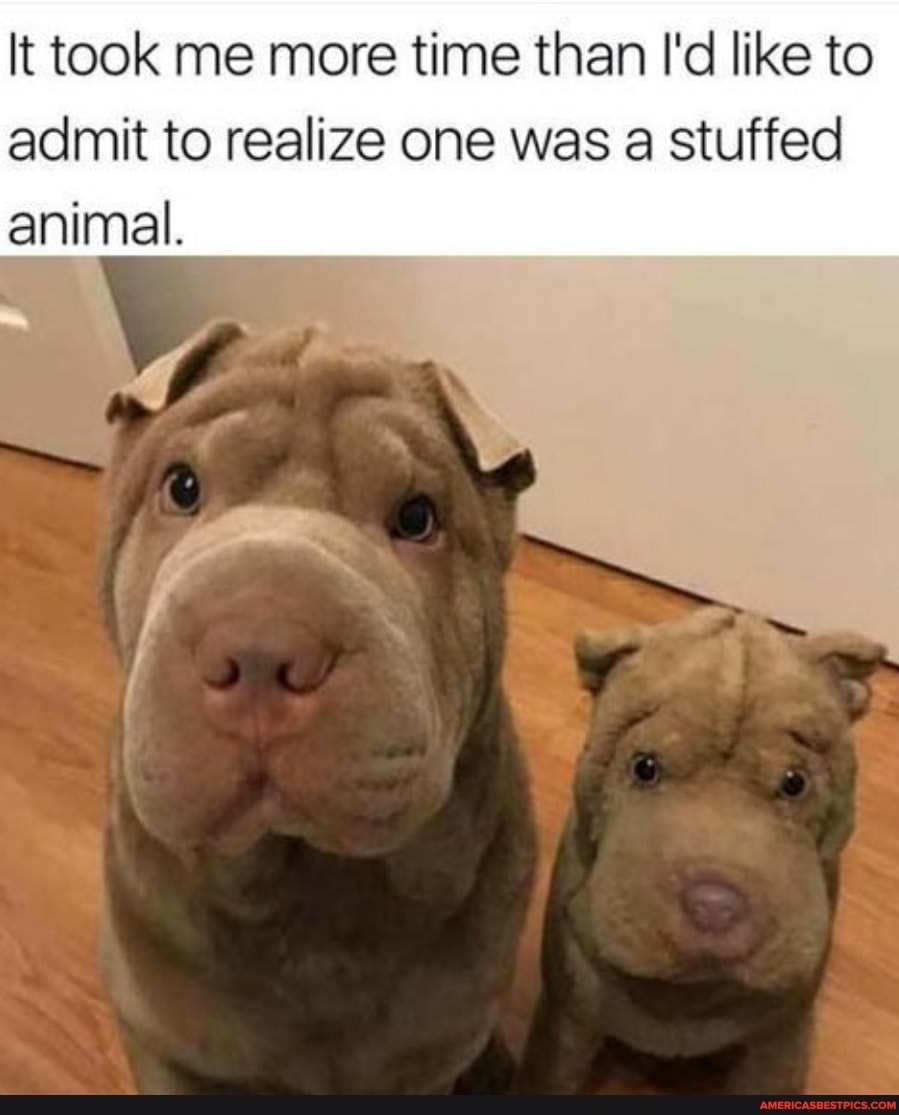 It took me more time than I'd like to admit to realize one was a stuffed animal.