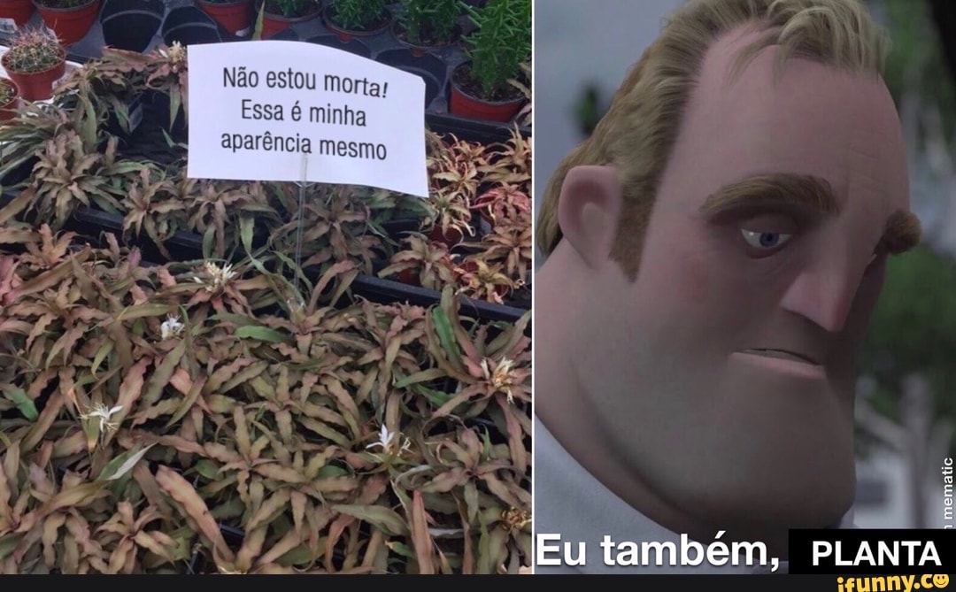 Não estou mortar
Essa é minha aparência mesmo
Eu também, PLANTA