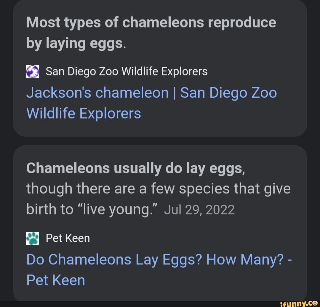 Most types of chameleons reproduce by laying eggs. San Diego Zoo