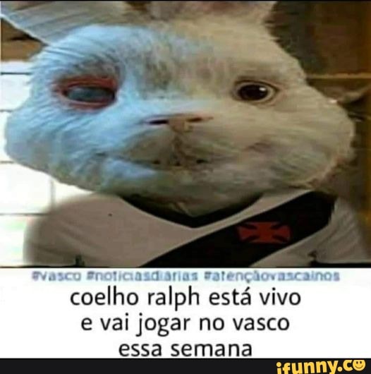 Fento rato a
coelho ralph está vivo e vai jogar no vasco essa semana