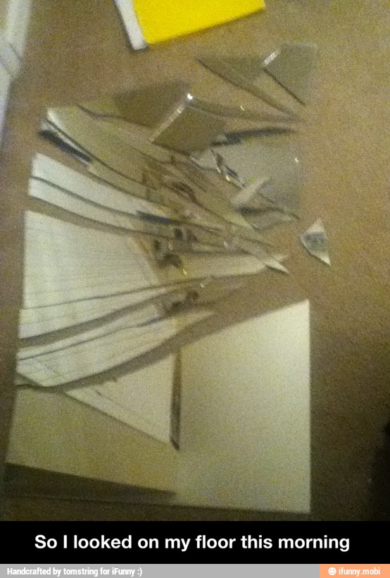 So I looked on my floor this morning - So I looked on my floor this morning