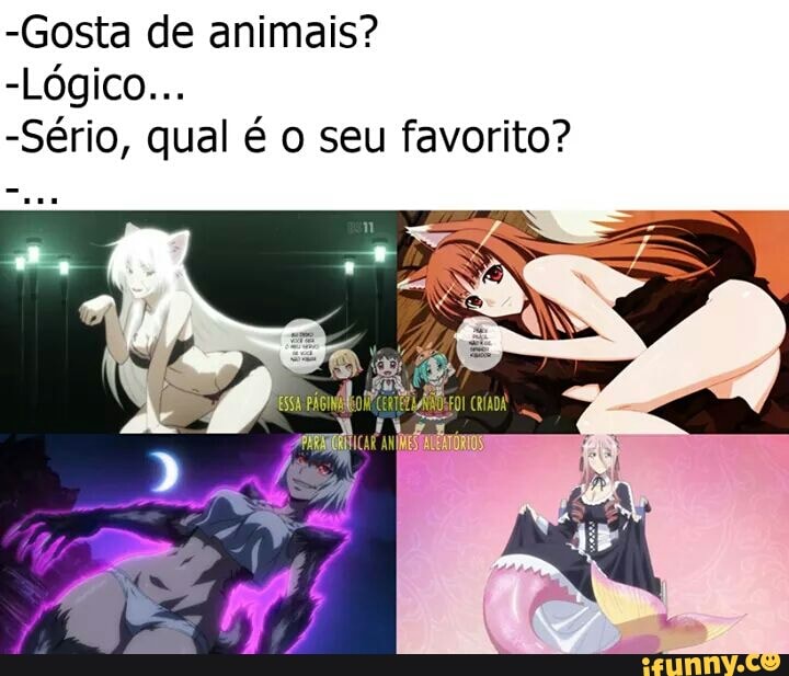 -Gosta de animais?
-Sério, qual é o seu favorito?