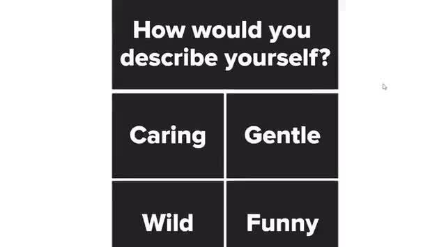 How would you describe yourself? Caring I Gentle Funny 