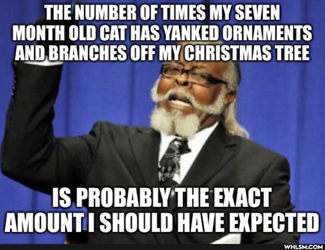 THE NUMBER OF TIMES MY SEWEN MONTH OLD CAT HAS YANKED ORNAMENTS AND ES OFF MY CHRISTMAS TREE
IS PROBABLY THE EXACT AMOUNT! SHOULD HAVE EXPECTED