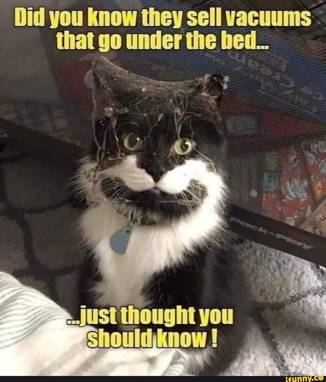 Did you know they sell vacuums that go under the bed... you Should know