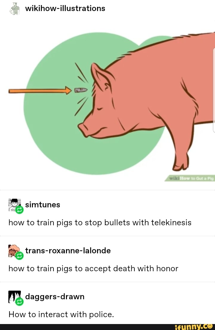 A Wikihow Illustrations How To Train Pigs To Stop Bullets With