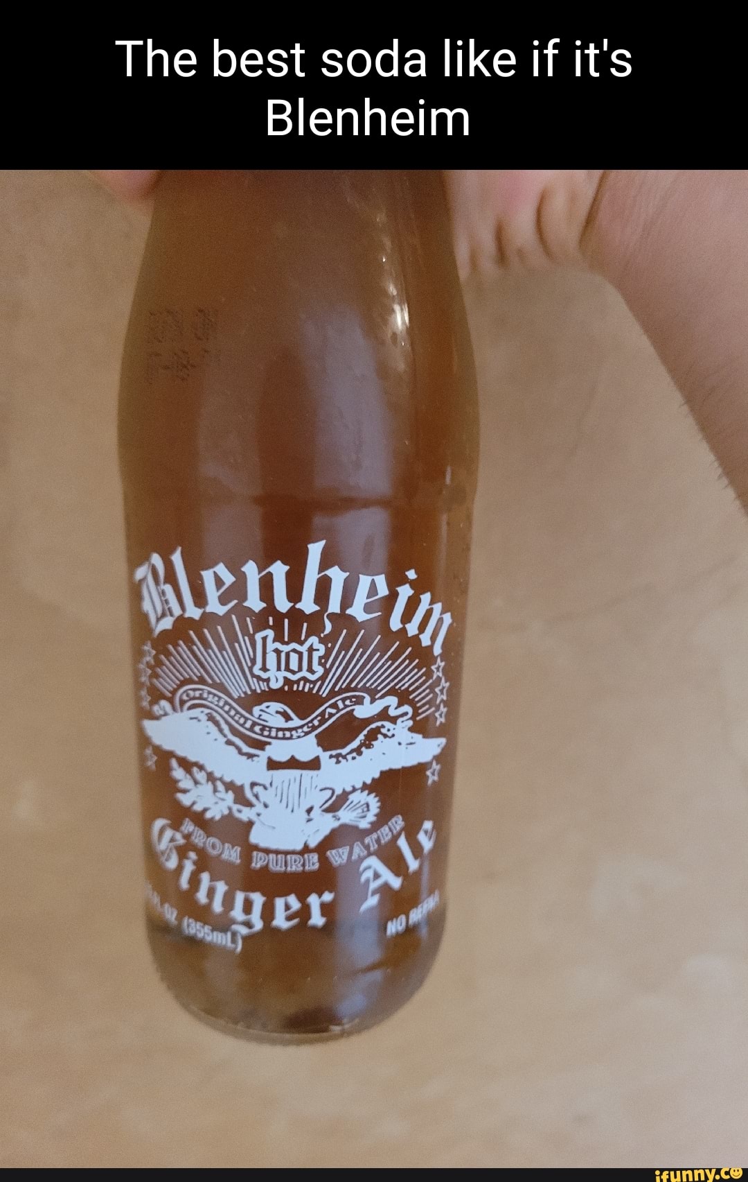 Gingerale memes. Best Collection of funny Gingerale pictures on iFunny