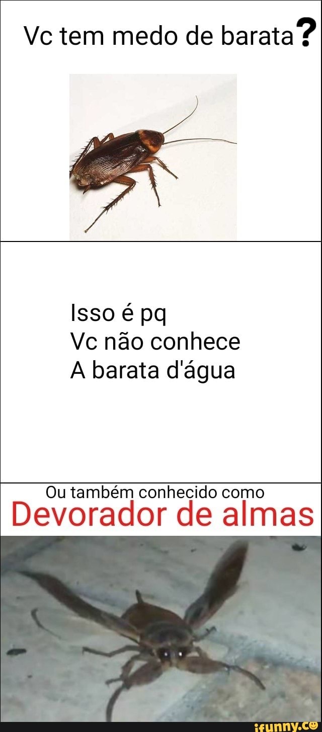 Vc tem medo de barata?
Vc não conhece
A barata d'água
Ou também conhecido como
Devorador de almas