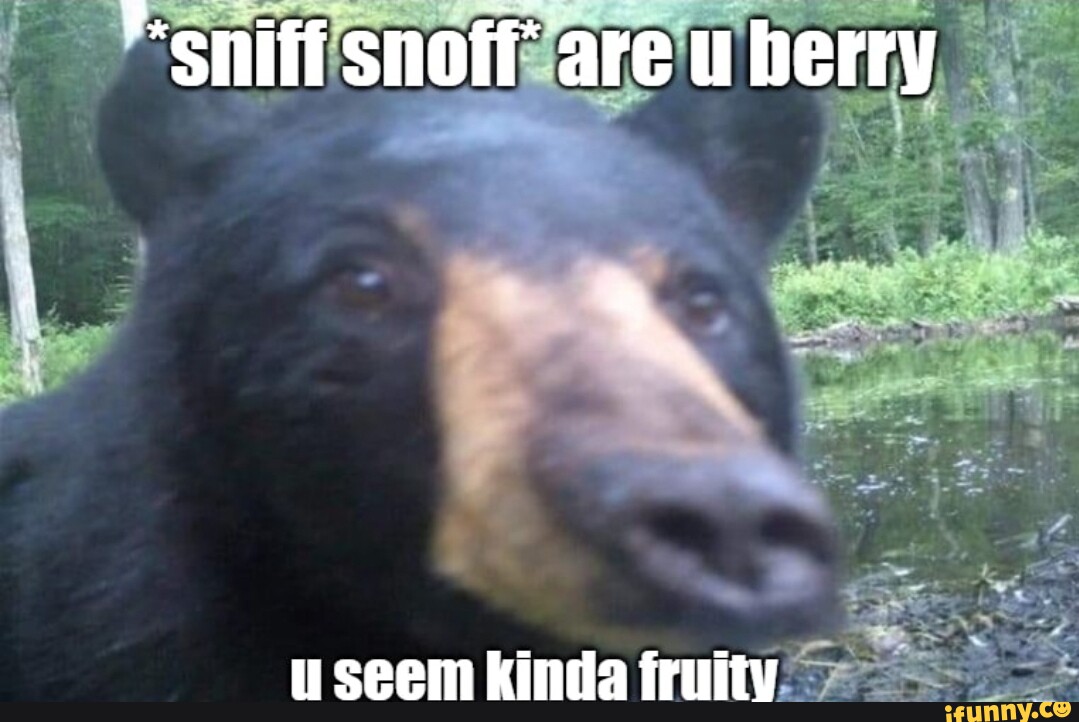 *Sniff snoff' are u berry wseem kinda fruliv - iFunny