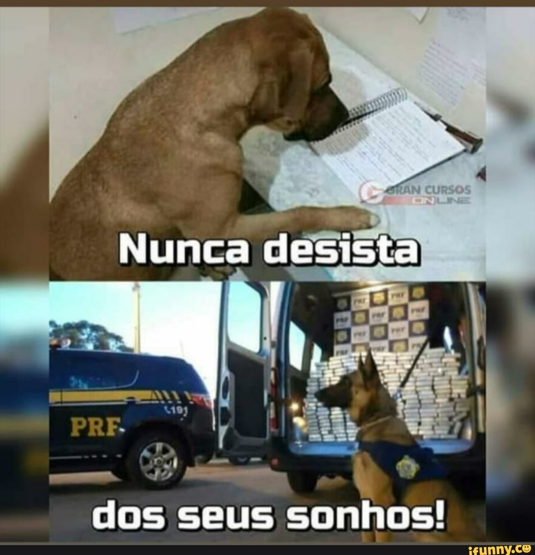 dos seus sonhos!