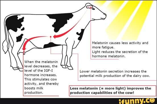 When the melatonin level decreases, the level of the IGF-I hormone ...