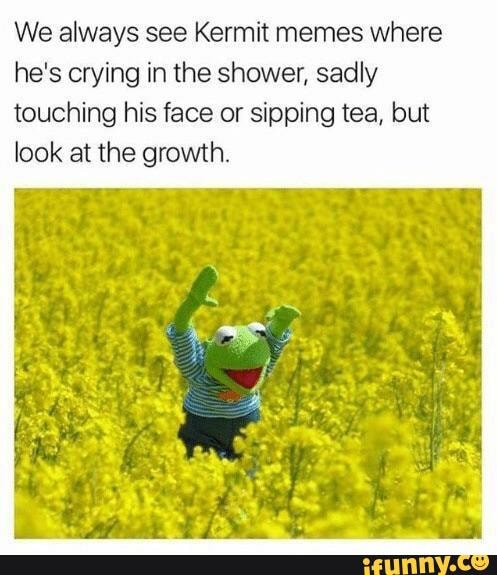 We always see Kermit memes where he's crying in the shower, sadly ...