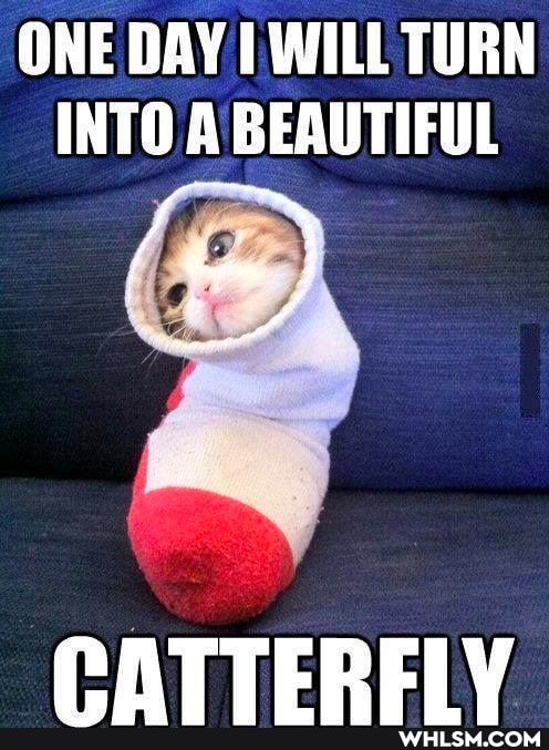 ONE DAY WILL TURN INTO A BEAUTIFUL
OATTERELV