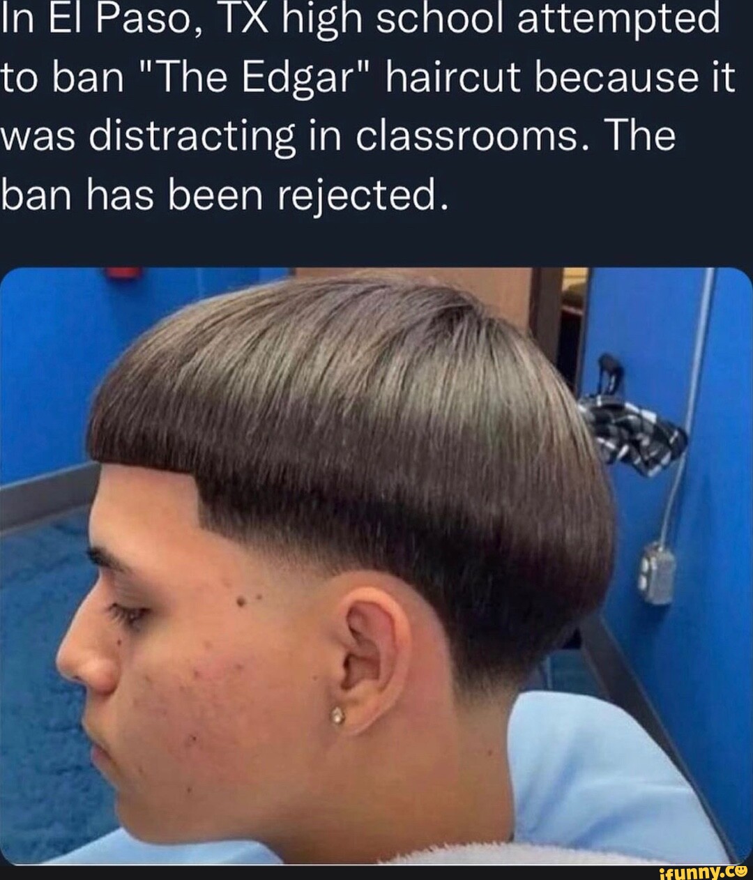 WHAT ARE YOU DOING WITH THAT MOSS? iFunny